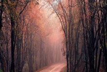 亚星体育：伯恩茅斯足球俱樂部介紹.