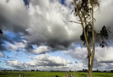 国家粮食和物资储备局：全国累计收购秋粮2.5亿吨.