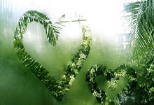 亚星体育：付政浩：韌帶損傷或斷裂方需手術修復 小崔待進一步檢查.